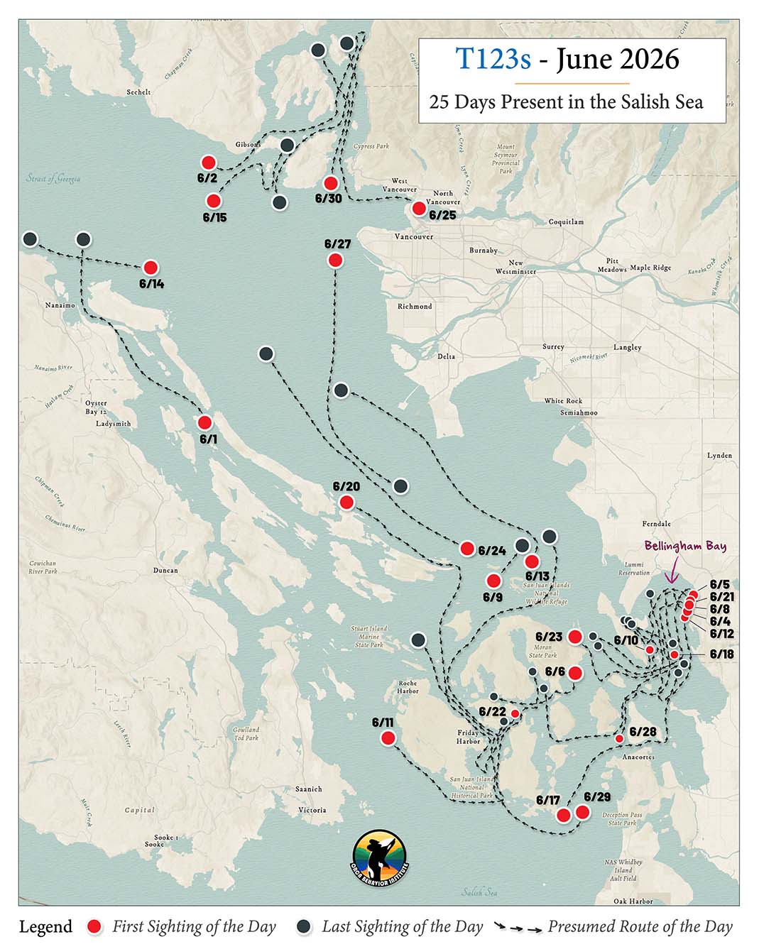 Orca Updates | Orca Behavior Institute